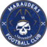 弗吉尼亚掠夺者